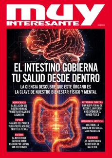 EL INTESTINO GOBIERNA TU SALUD DESDE DENTRO