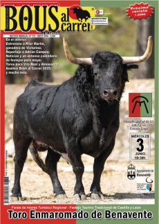 TORO ENMAROMADO DE BENAVENTE UNA TRADICIÓN CENTENARIA QUE SIGUE VIVA